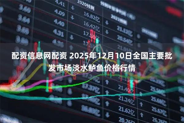 配资信息网配资 2025年12月10日全国主要批发市场淡水鲈鱼价格行情